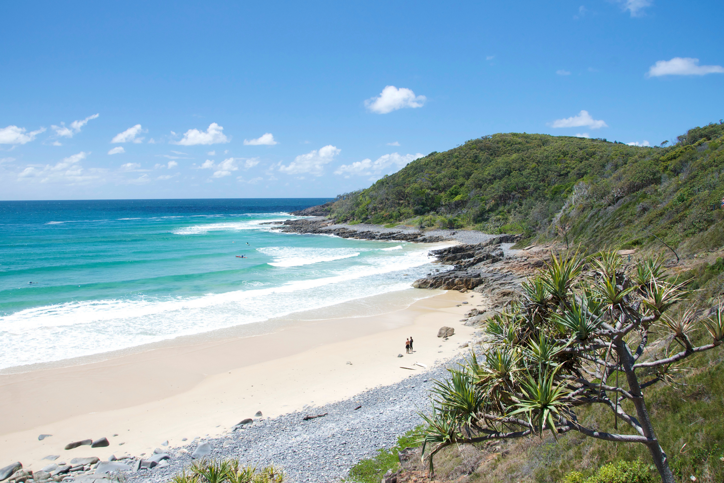 noosa, queensland (2).webp